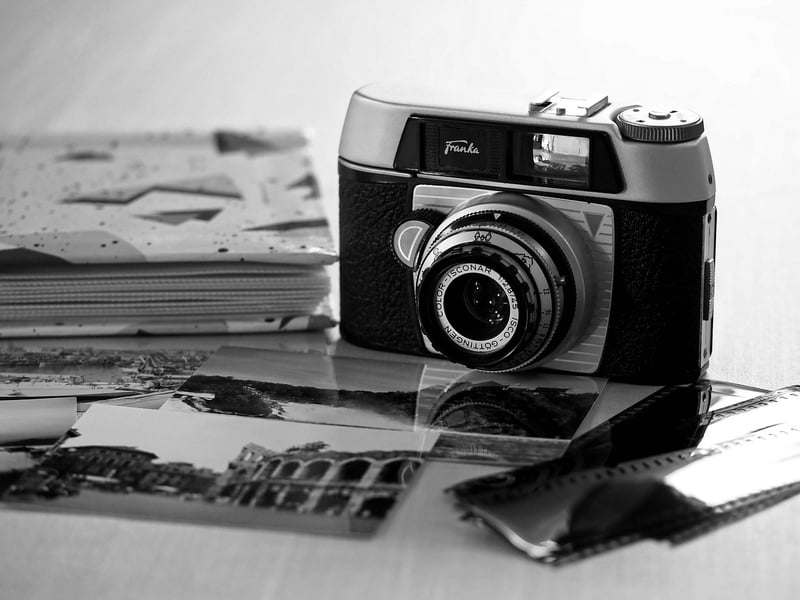 Enchanted Photo Albums